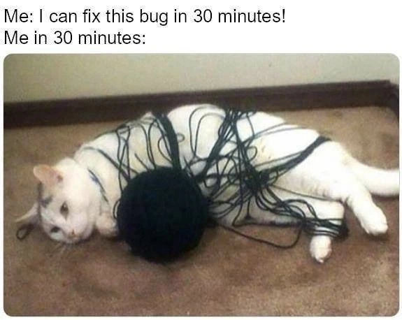 The Classic 30-Minute Bug Fix