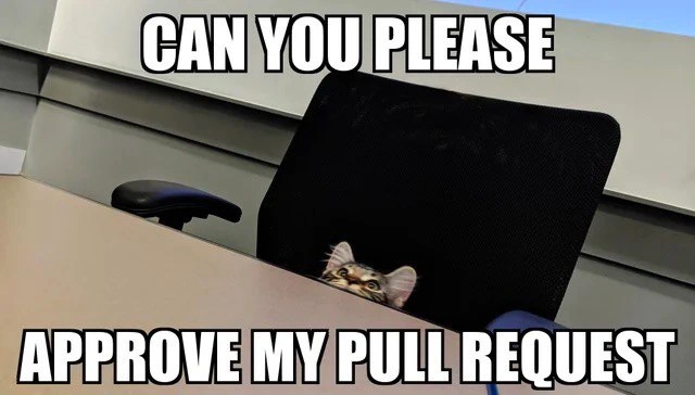 The PR Approval Cat's Plea