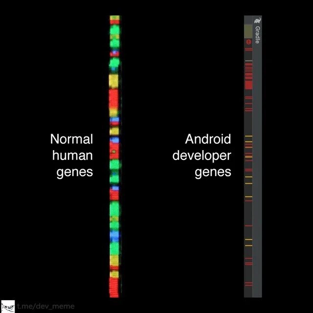The Android Developer Genome Project