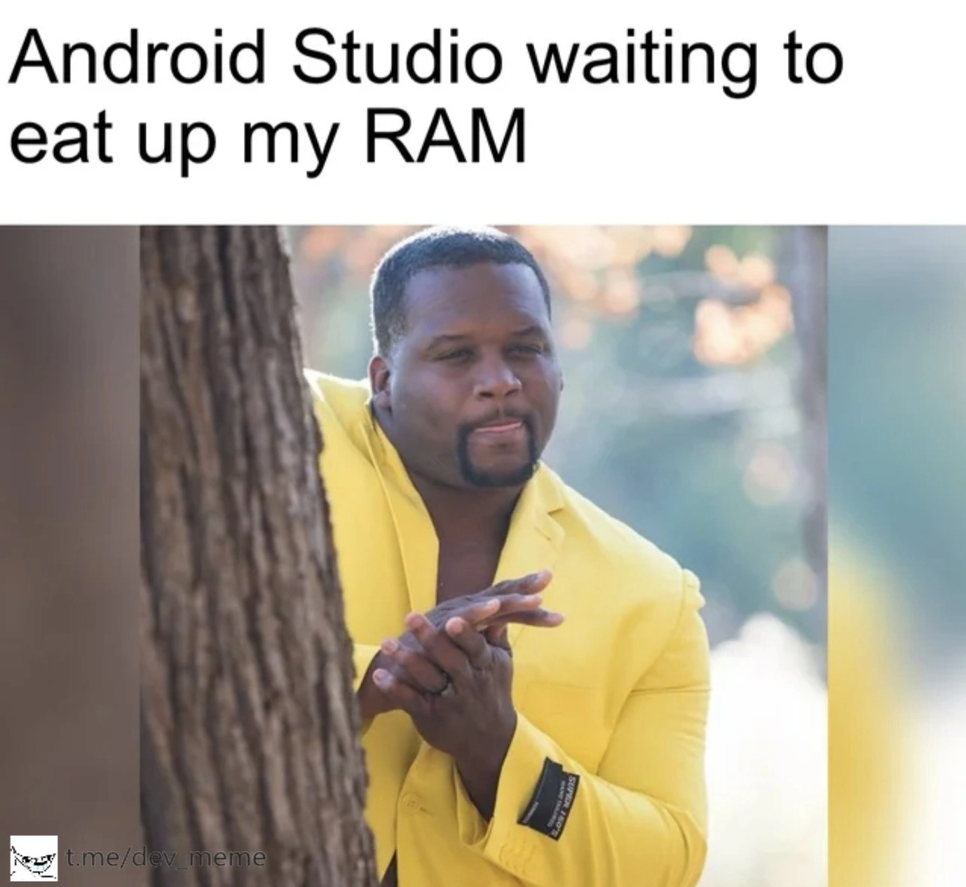 Android Studio's Insatiable Appetite for RAM