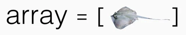 A Literal Array Implementation