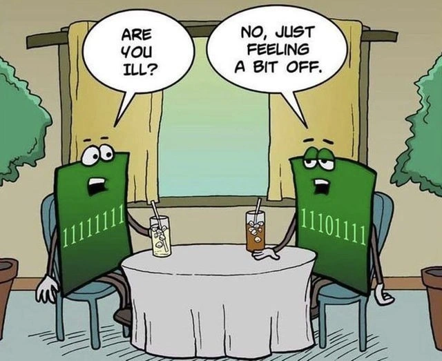 When a Bit Flip Literally Makes You Feel Off