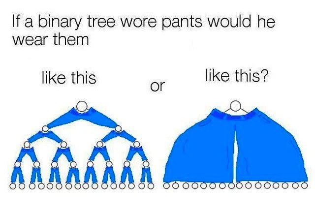 The Binary Tree Pants Dilemma: A Foundational CS Problem