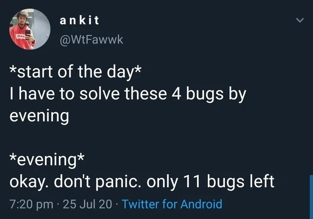 Started with four bugs, ended the day with eleven - debugging reality check
