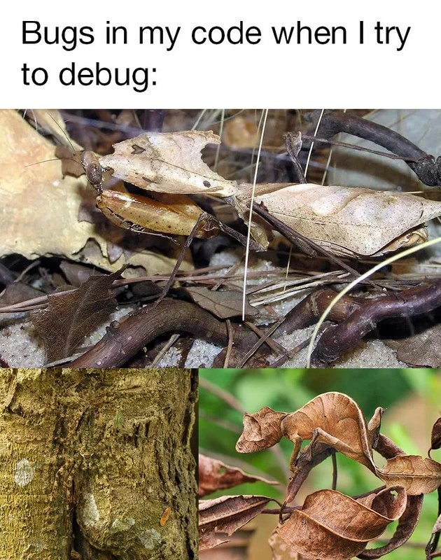 When your software bugs perfectly camouflage themselves during a debugging session