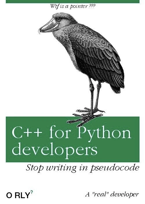Python to C++: A Study in Pointer-Induced Terror