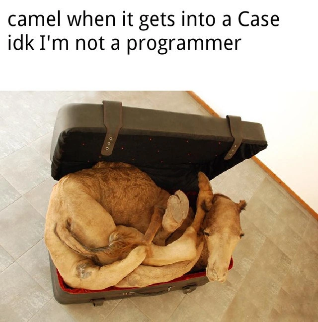Camel in a Case: A Naming Convention Pun