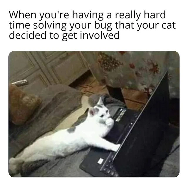 Feline Intervention in Debugging