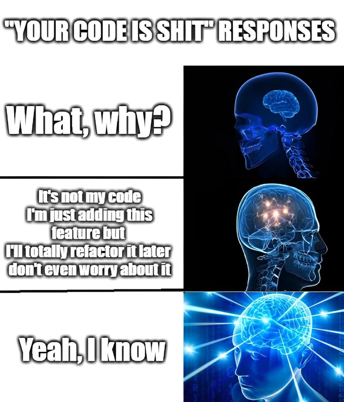 Expanding Brain Meme: Responses to 'Your Code Is Shit' Code Review