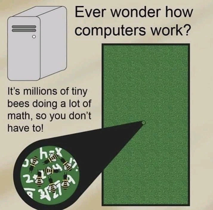 Computational Apiology: The Bees Inside the Box