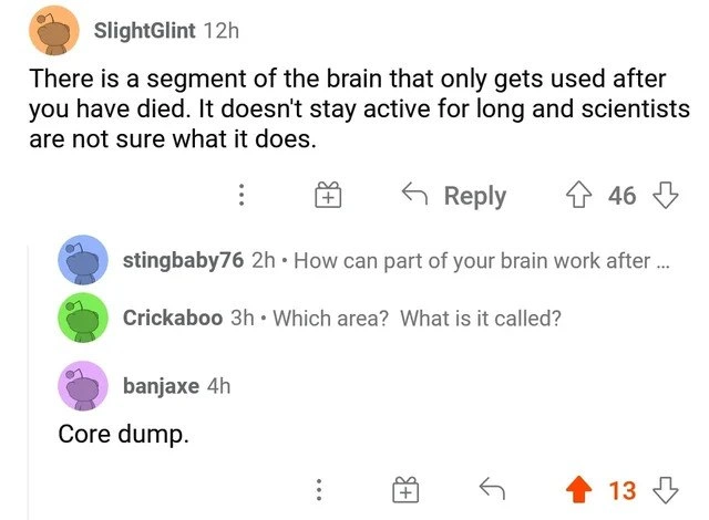 The Post-Mortem of the Human Brain