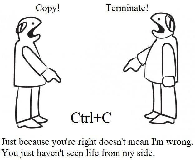 The Duality of Ctrl+C: A Developer's Daily Context Switch