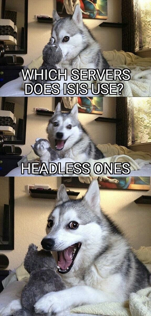 A Pun Dog's Dark Joke About Headless Servers
