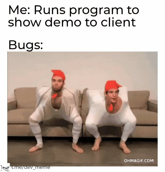 Bugs During the Client Demo