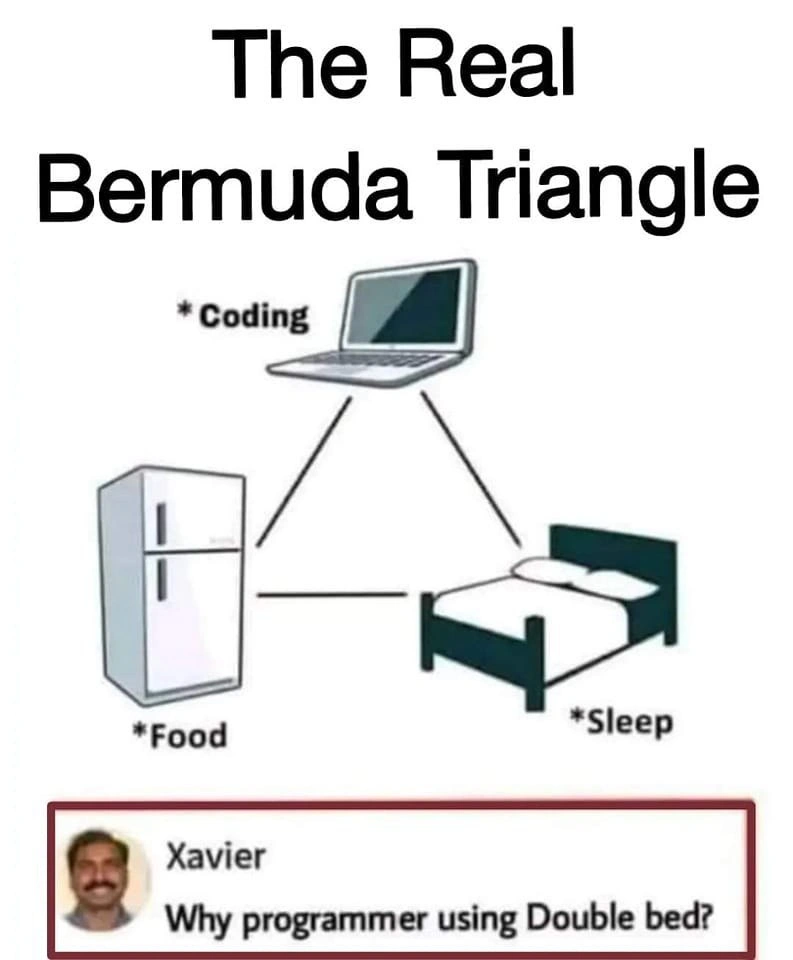 Programmer’s Bermuda Triangle: Laptop, Fridge, Bed, and a Data-Type Pun