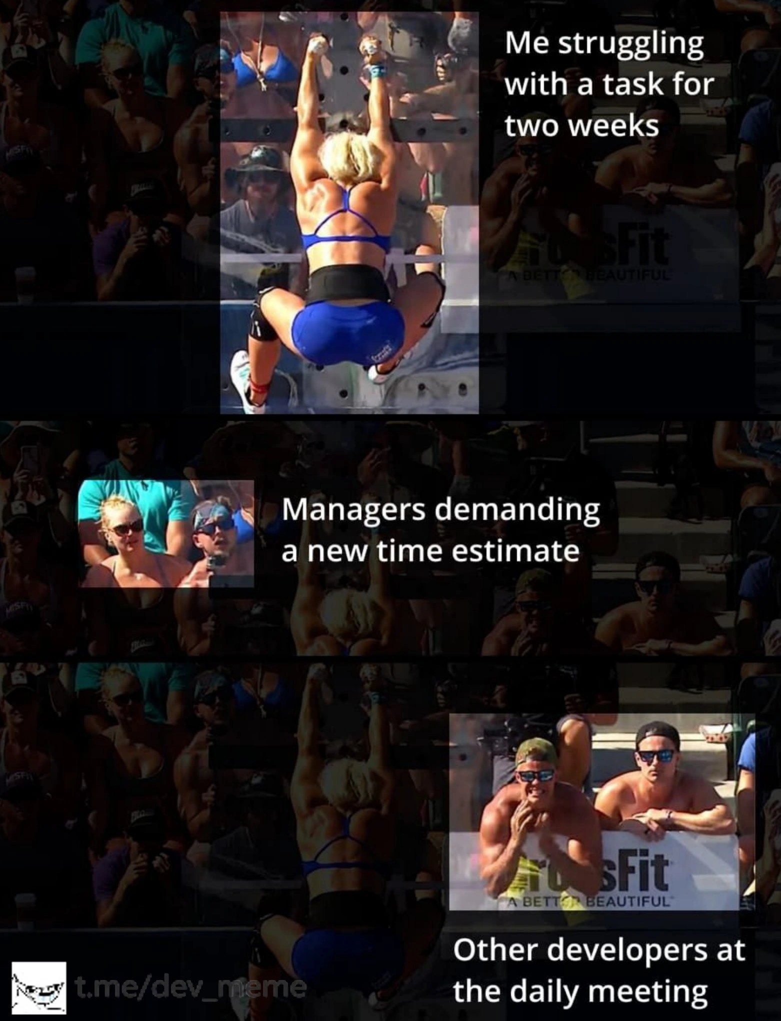 The Developer vs. The Two-Week Task and Its Audience