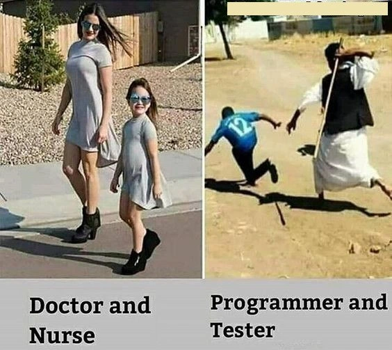 Professional Dynamics: Medicine vs. Software Development