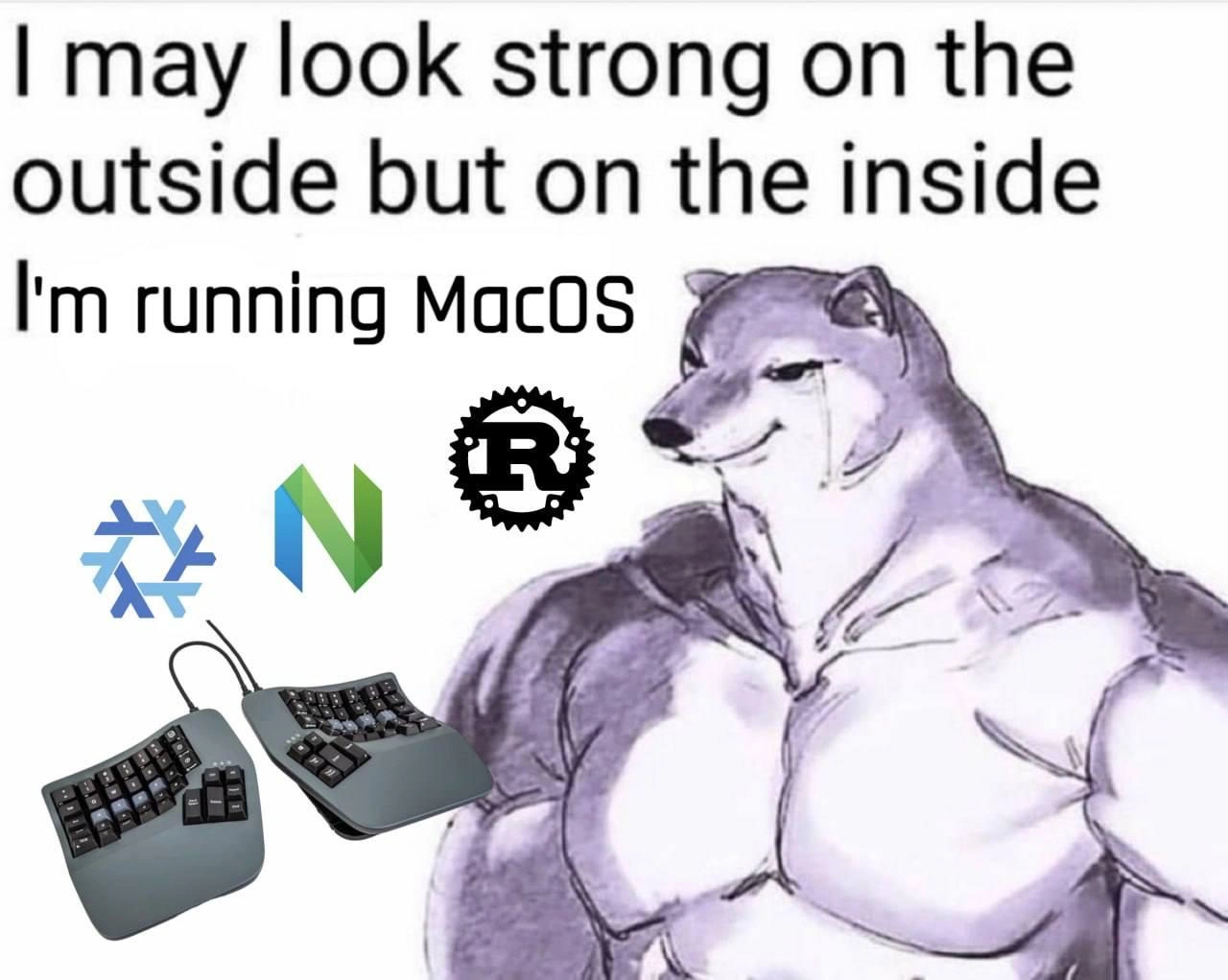 Buff dev doge flexes yet secretly runs macOS with Nix, Neovim and Rust