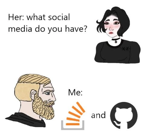 A Developer's Social Media Landscape