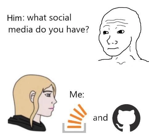 A Developer's Social Network: Stack Overflow and GitHub