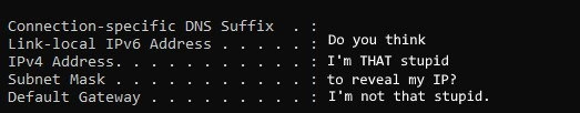 When you screenshot ipconfig but refuse to leak your IP address to strangers