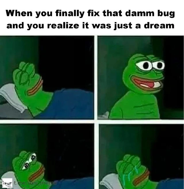 The Bug Fix Dream: A Developer's Hope and Despair