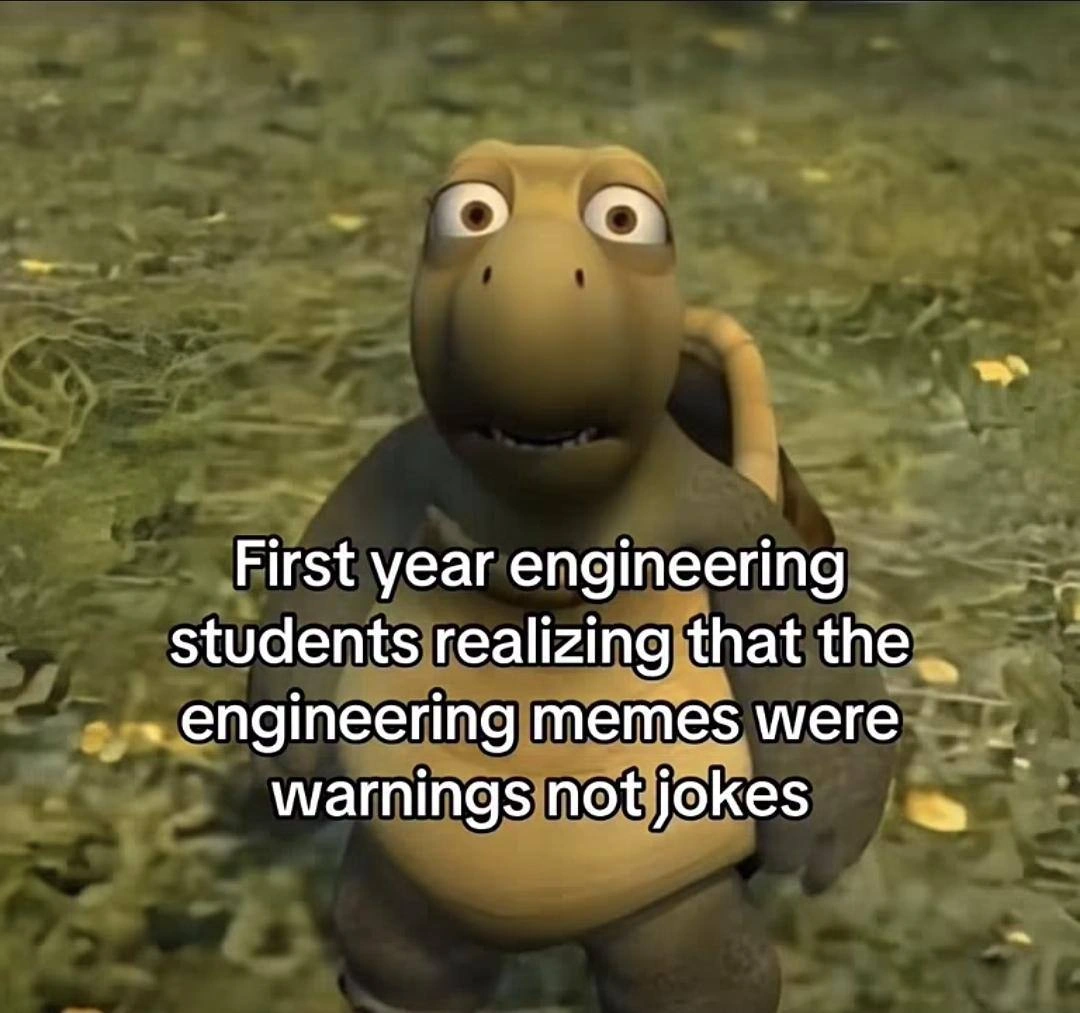 Engineering Memes Were the Orientation Manual