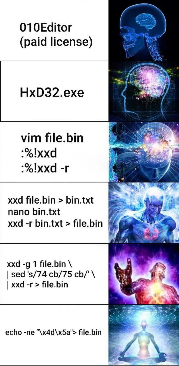 The Ascended Path of Binary File Editing