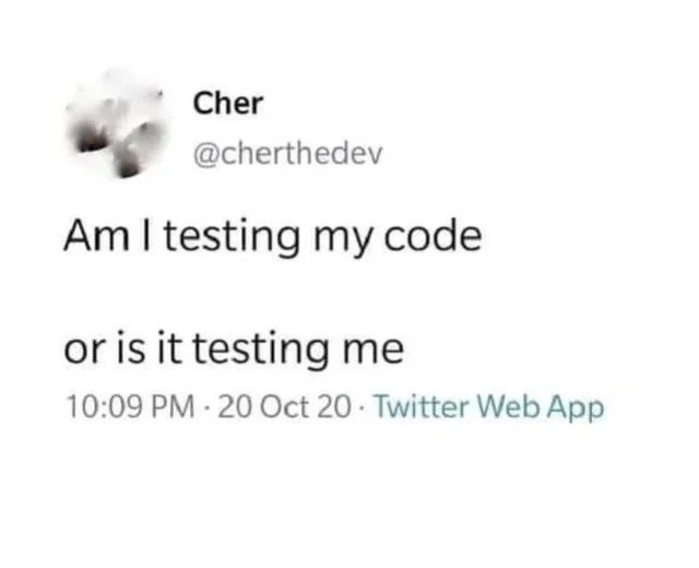 The Existential Struggle of Software Testing