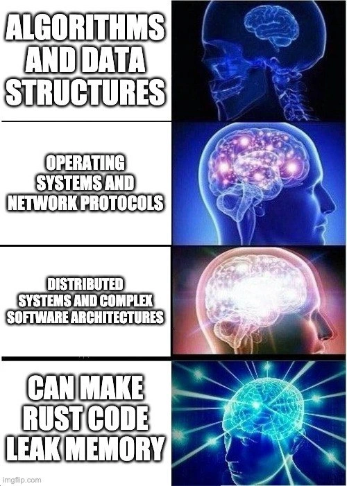 The final boss of Rust: memory leaks