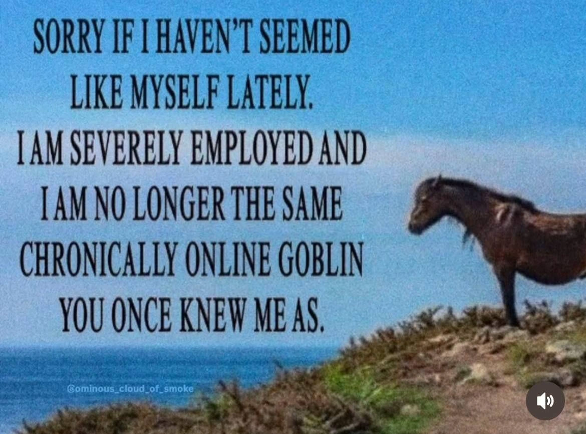 Severely Employed Former Chronically Online Developer Apologizes for Adulting
