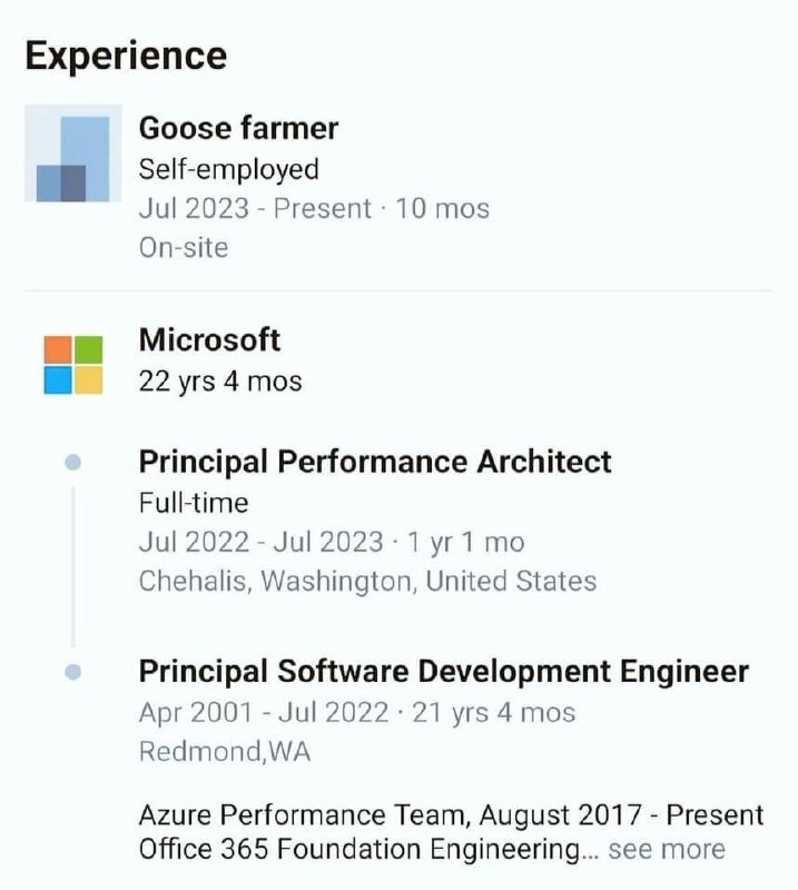 The Ultimate Senior Dev Career Pivot: From Principal Architect at Microsoft to Goose Farmer