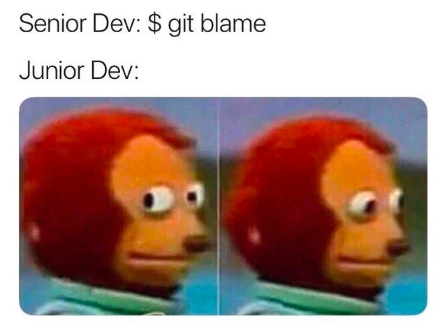 The Junior Developer's Reaction to Git Blame