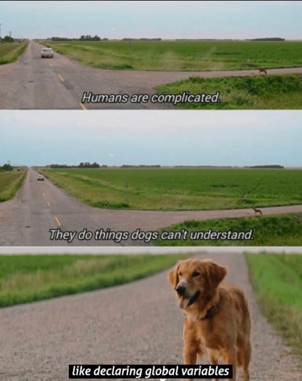 A Dog's Perspective on Global Variables
