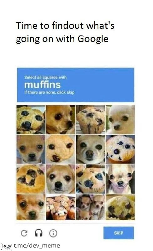 Muffin vs. Chihuahua: The AI Training Dilemma