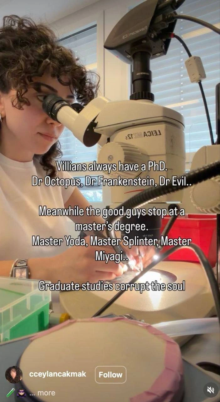 Graduate School Villain Origin Theory