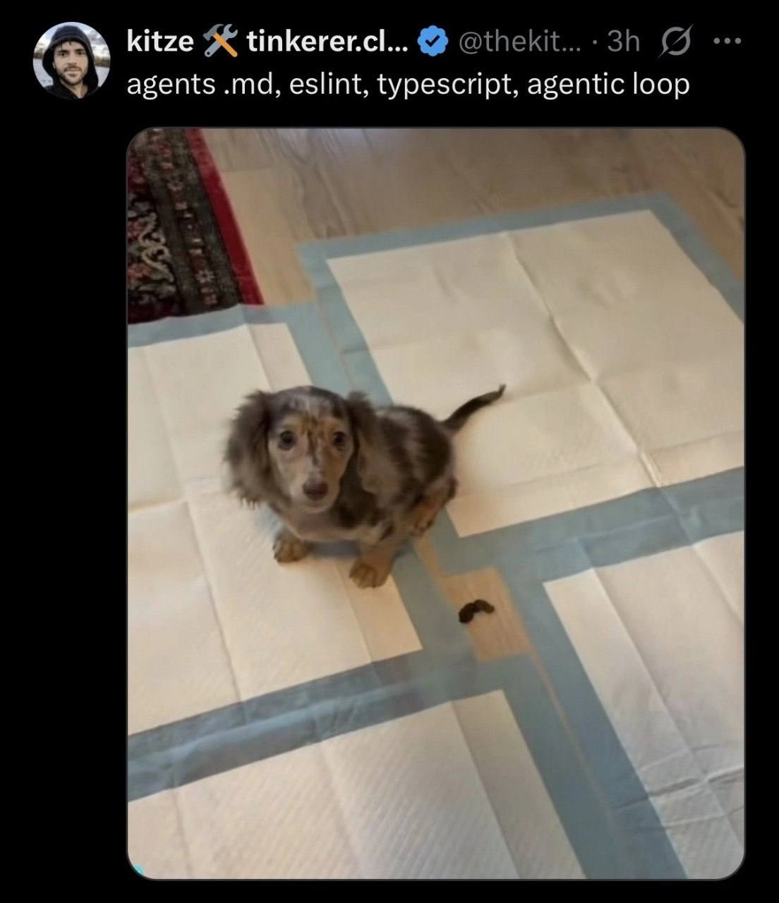 Guardrails Everywhere, Puppy Still Misses: Agentic Loop in One Photo