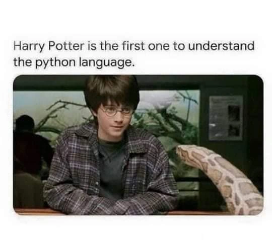The Original Python Whisperer