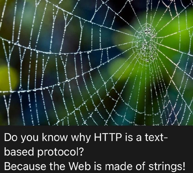 The String Theory of the World Wide Web