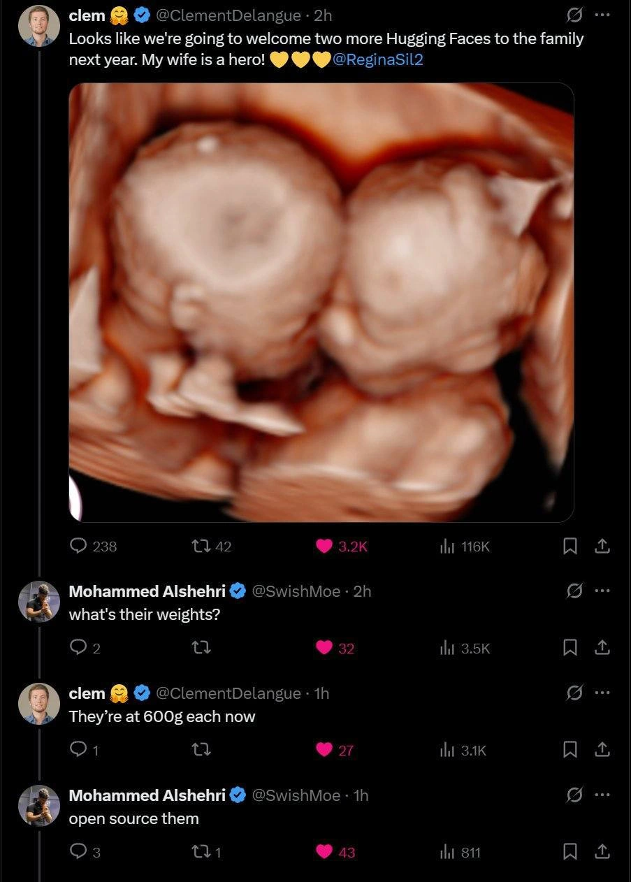 Hugging Face CEO Announces Twins, Community Asks to Open Source Them