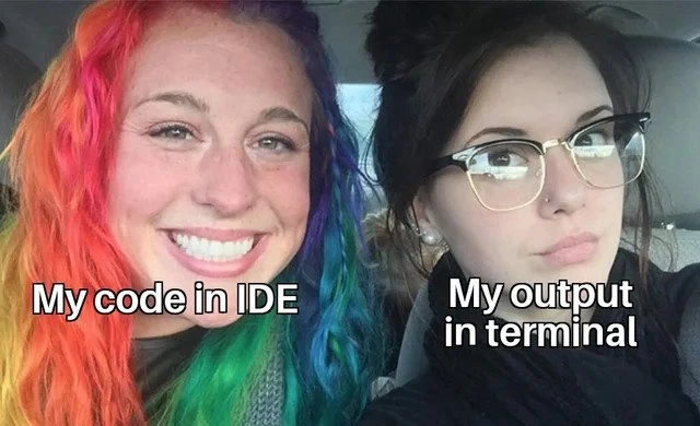 Colorful code versus monochrome terminal output - expectation vs reality meme
