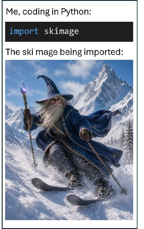 import skimage Literally Summons a Ski Mage
