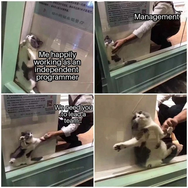When management drags you into leadership despite your claws out