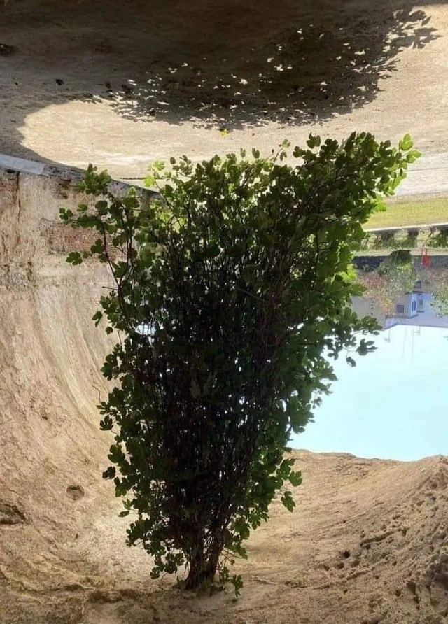 Inverting Trees for Google