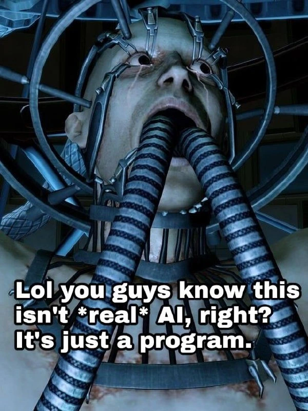 It Is Just a Program Until It Screams