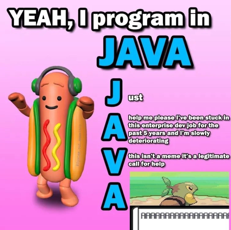 The Agony of an Enterprise Java Developer
