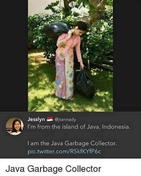 The Real Java Garbage Collector