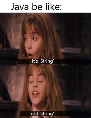 Java's Pedantic Take on String vs. string