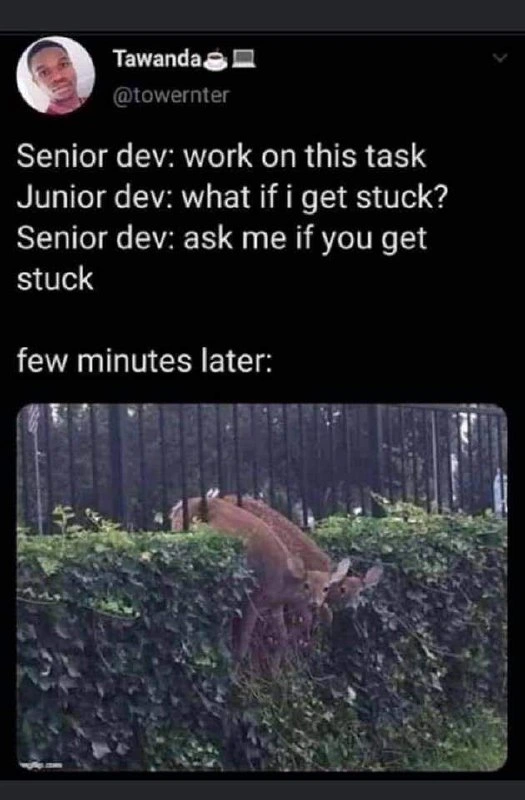 Senior-Junior Mentorship: A Visual Representation