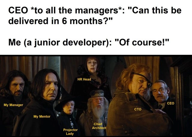 Junior dev confidently commits to six-month delivery as leadership panics silently